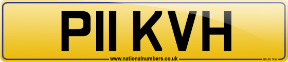 P11 KVH