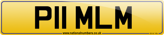 P11 MLM