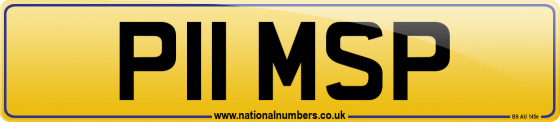P11 MSP
