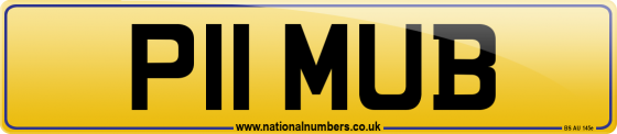 P11 MUB