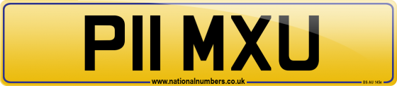 P11 MXU