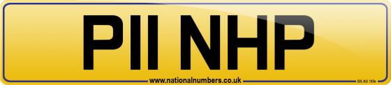 P11 NHP