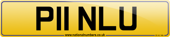 P11 NLU