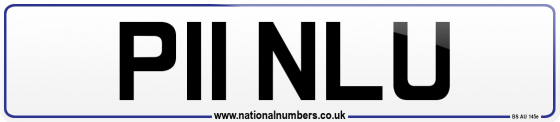 P11 NLU