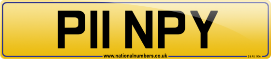 P11 NPY
