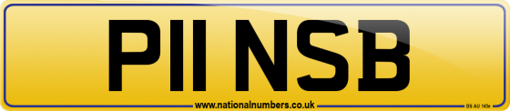 P11 NSB