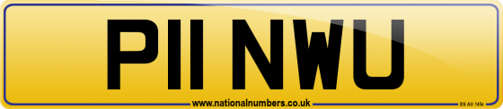 P11 NWU