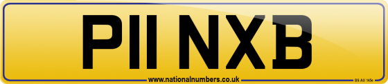 P11 NXB