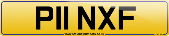 P11 NXF