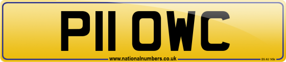 P11 OWC