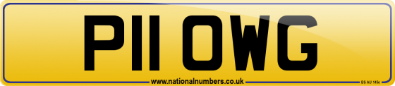 P11 OWG