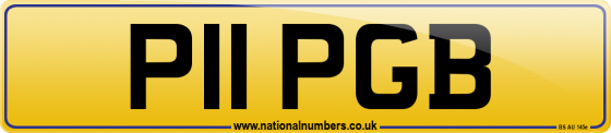 P11 PGB