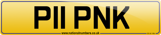 P11 PNK
