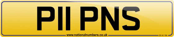 P11 PNS