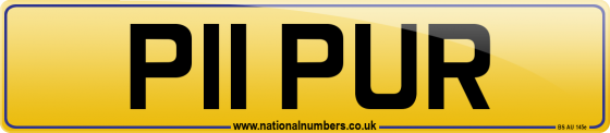 P11 PUR