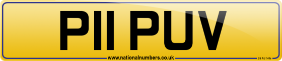 P11 PUV