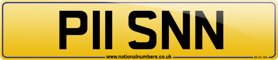 P11 SNN