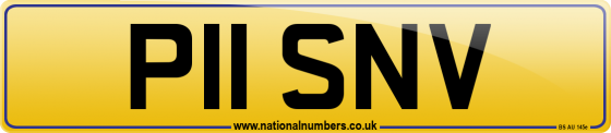 P11 SNV