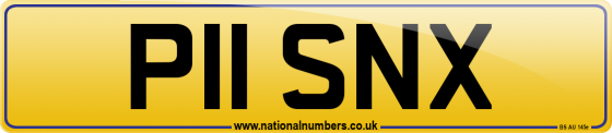 P11 SNX