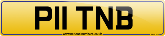 P11 TNB