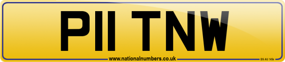 P11 TNW