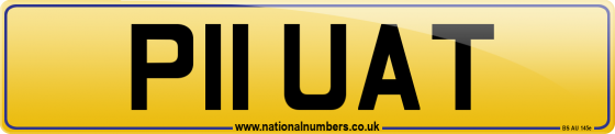 P11 UAT