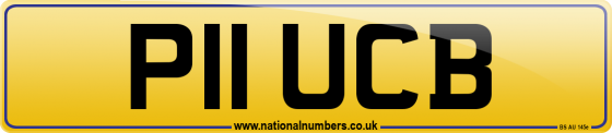 P11 UCB