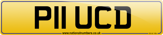 P11 UCD
