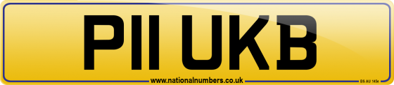 P11 UKB