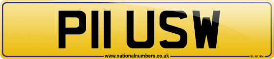 P11 USW