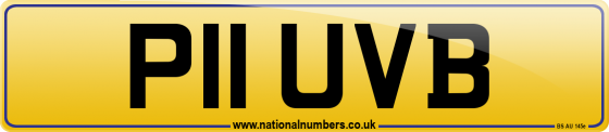 P11 UVB