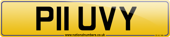 P11 UVY