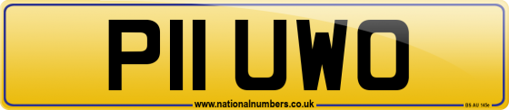 P11 UWO