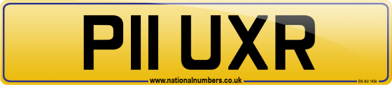 P11 UXR