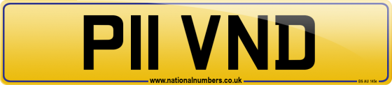 P11 VND