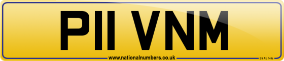 P11 VNM