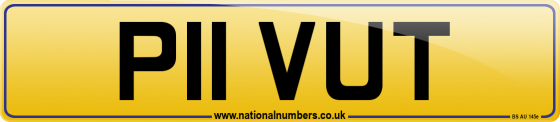 P11 VUT