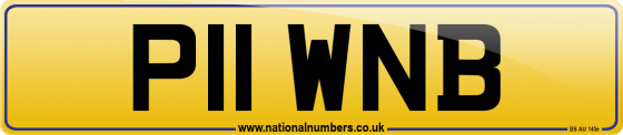 P11 WNB