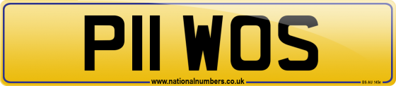 P11 WOS