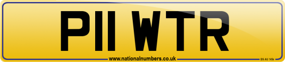 P11 WTR