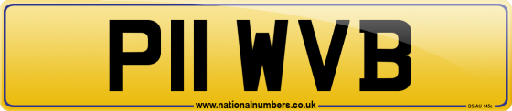P11 WVB