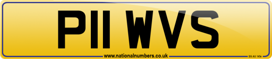 P11 WVS