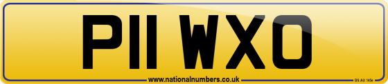 P11 WXO