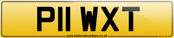 P11 WXT
