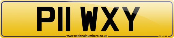 P11 WXY