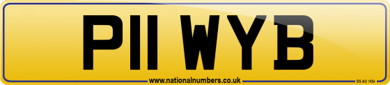 P11 WYB