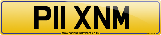 P11 XNM