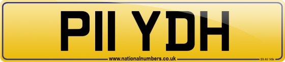 P11 YDH