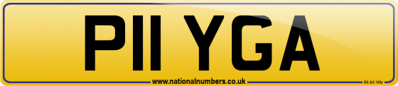 P11 YGA