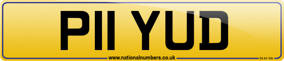 P11 YUD